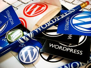 What is Sydney WordPress theme