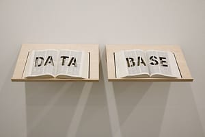 What is a Database? Beginner’s Guide with Examples,…